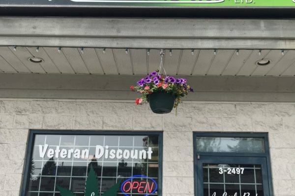 Cannabis POS for dispensary