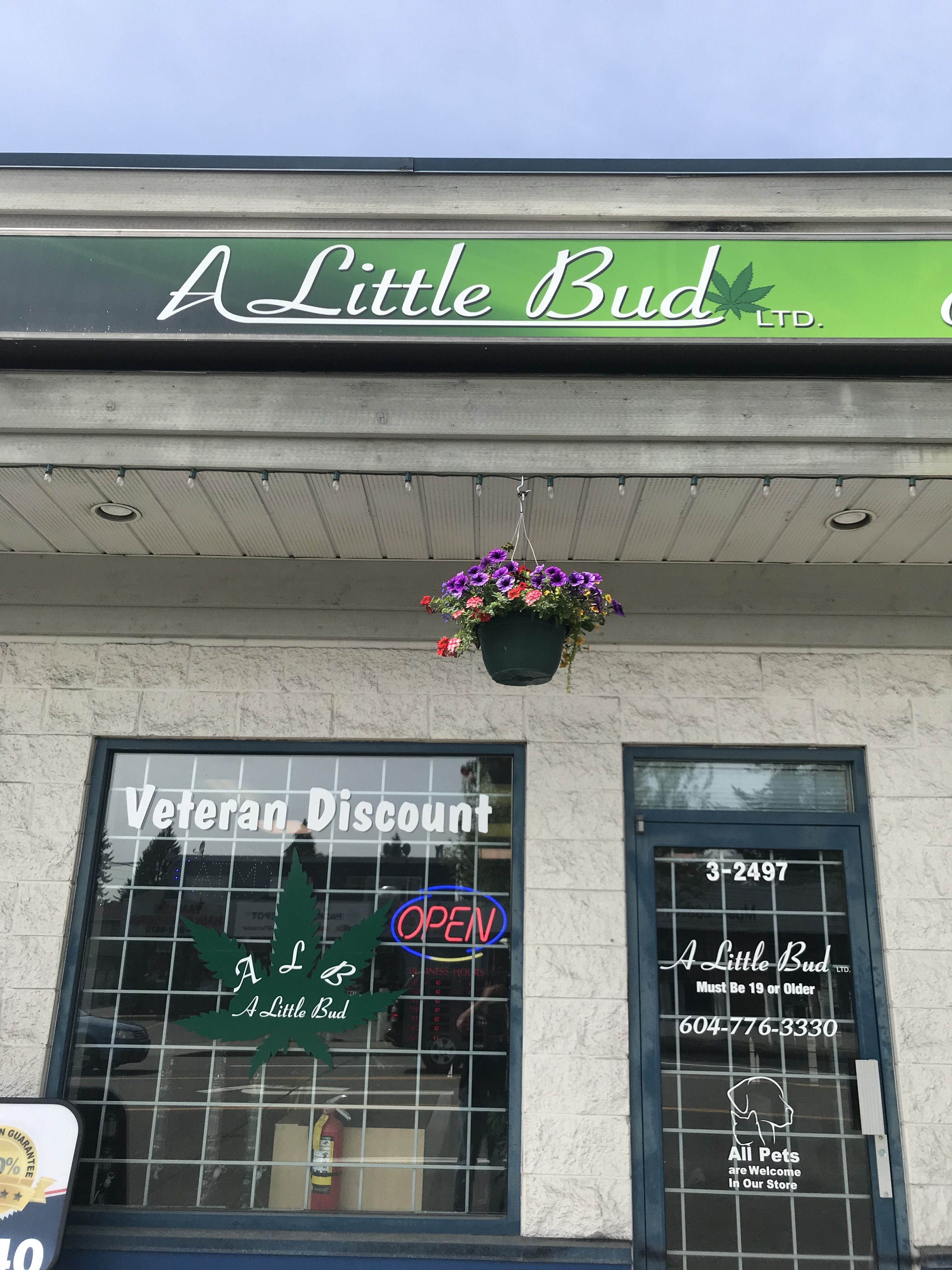 Little Bud TechPOS Installation
