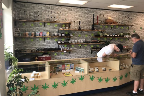 Cannabis POS - Cannabis POS for dispensary