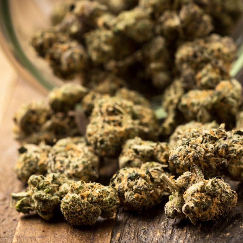 TechPOS-Cannabis-POS