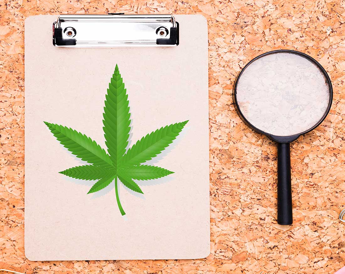 TechPOS=CannabisStoreInspection-Horizental