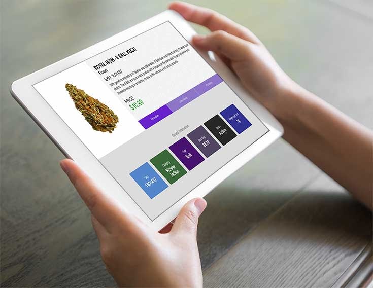 Cannabis POS-TechPOS-ExpressCheckout-web