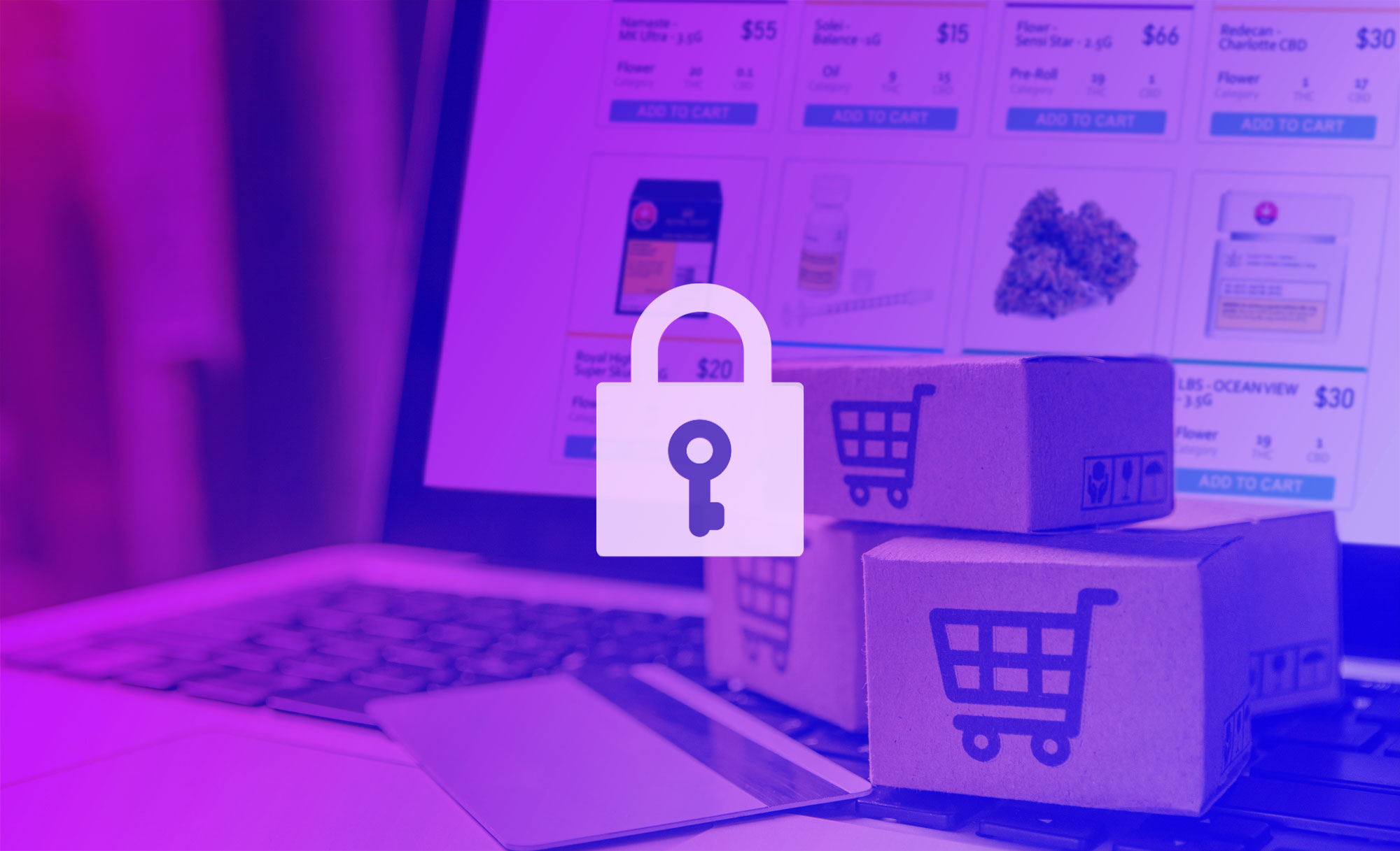The Importance of Secure Web Data