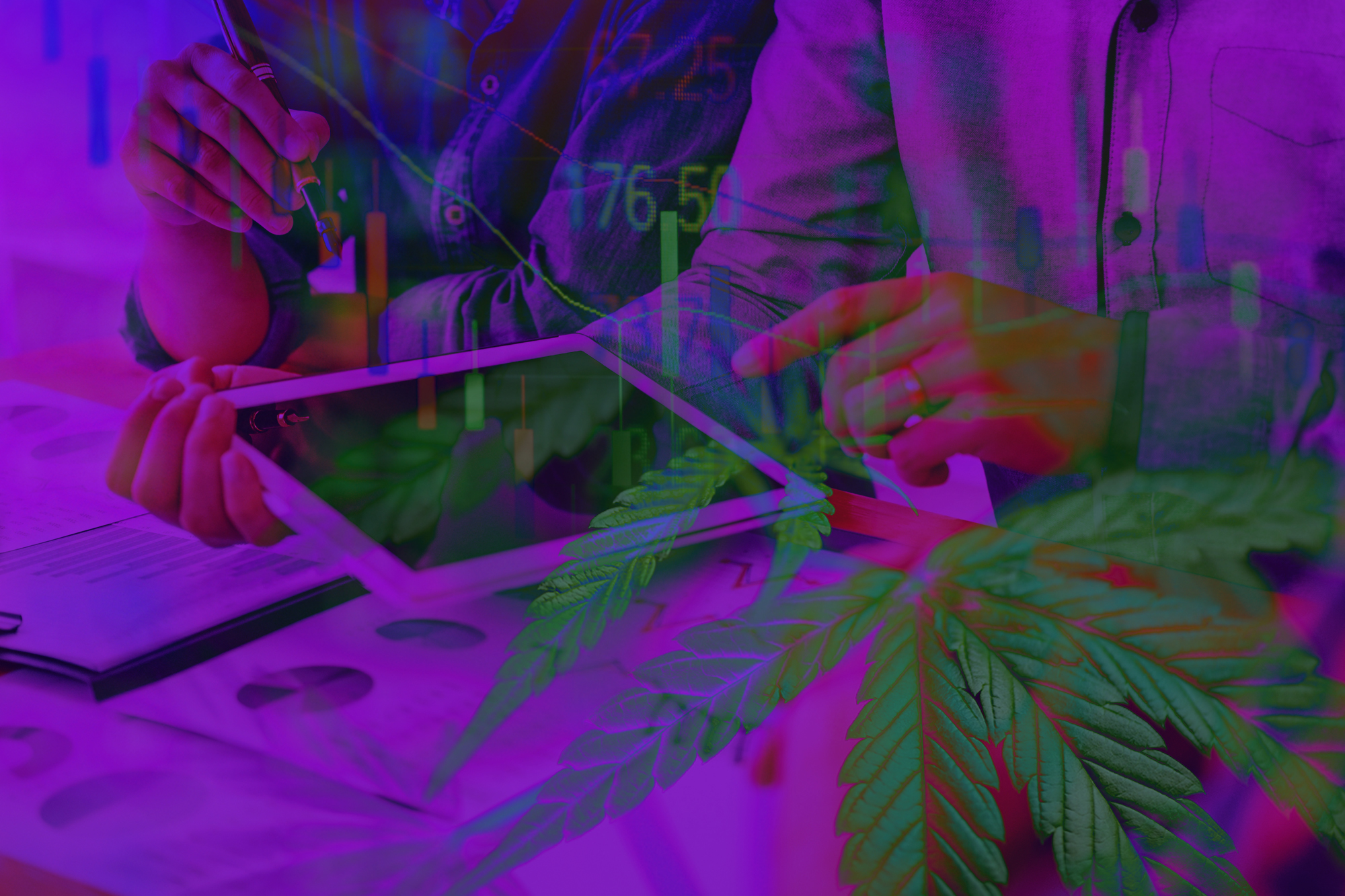 5 Marketing Strategies for Cannabis Retailers