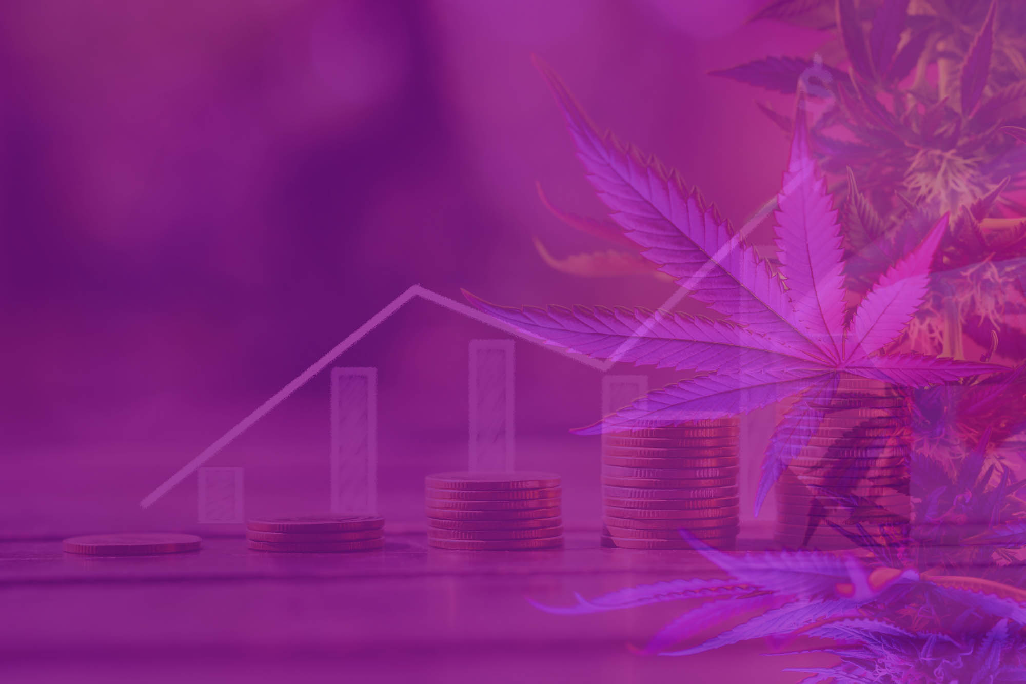 2022 Predictions for the Canadian Cannabis Market