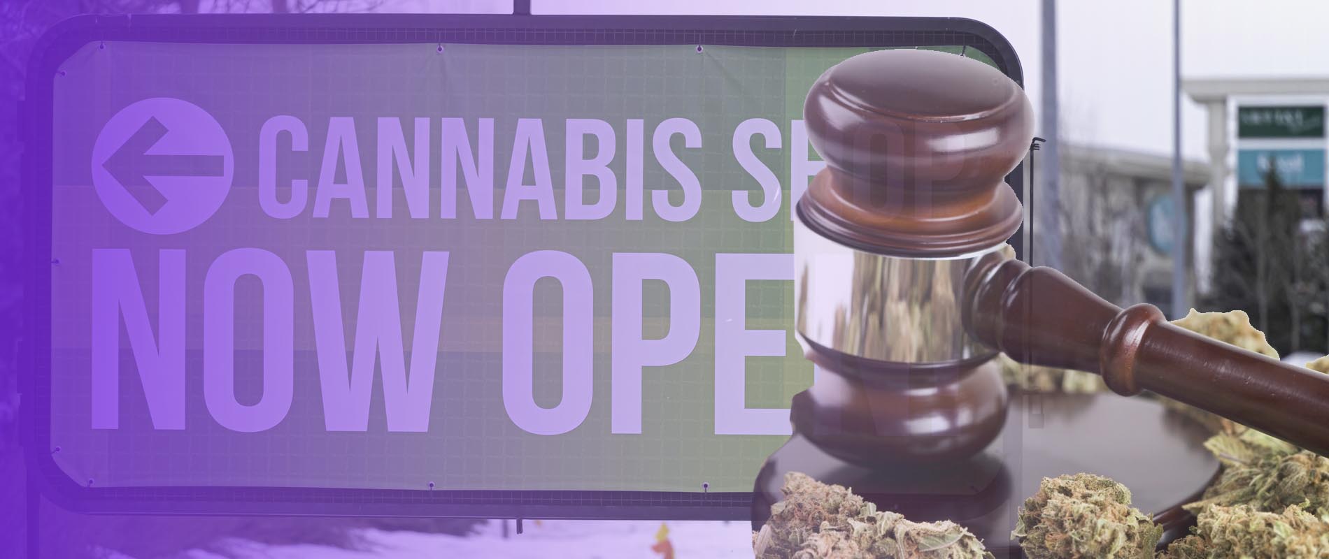 How to Open a Cannabis Retail Store in Alberta