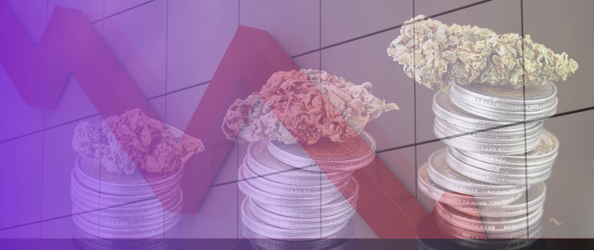 How to Prepare for a Recession: Tips for Cannabis Retailers
