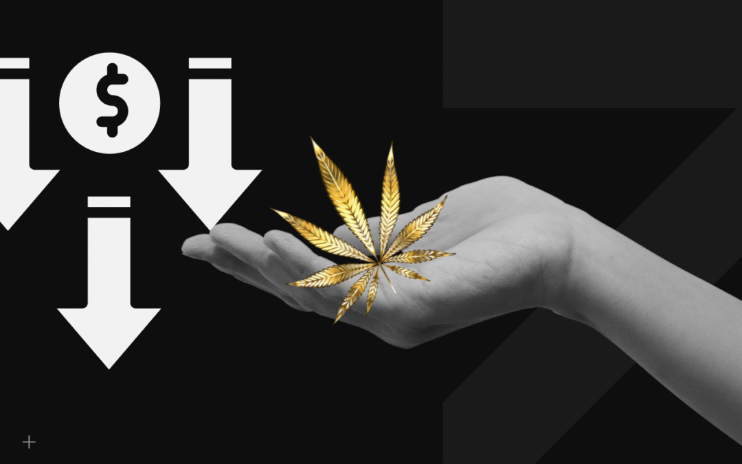 Recreational Cannabis Prices Fall: What Does this Mean for Retailers?