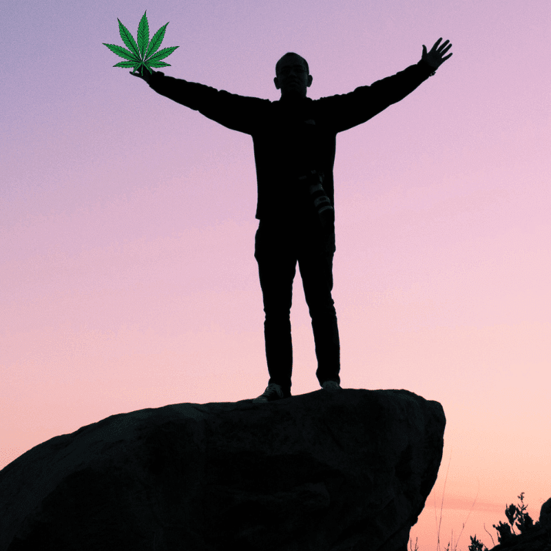 cannabis retail success