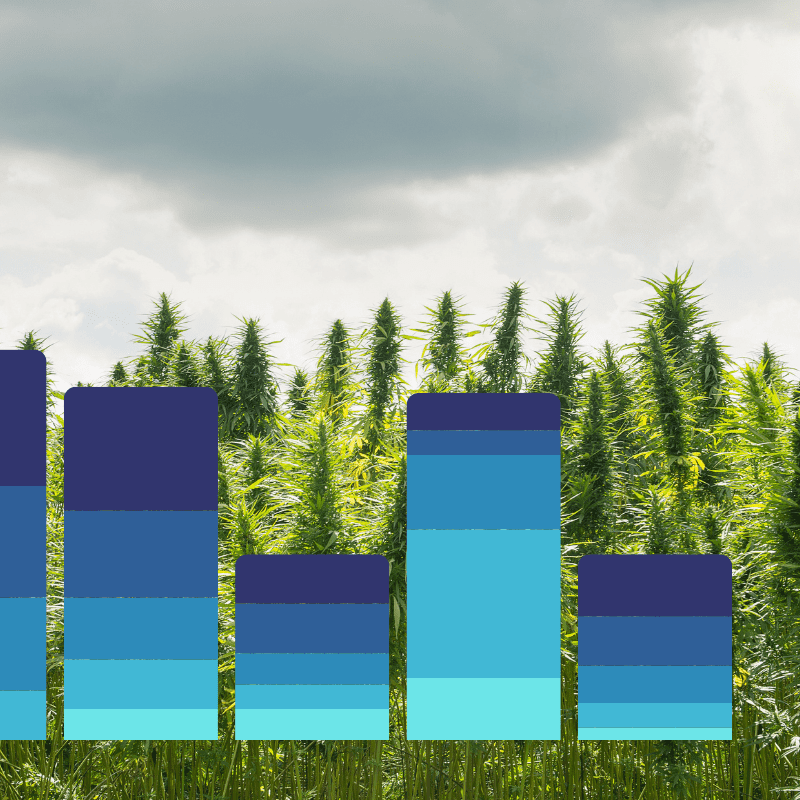 Saturation of the Canadian Cannabis Market