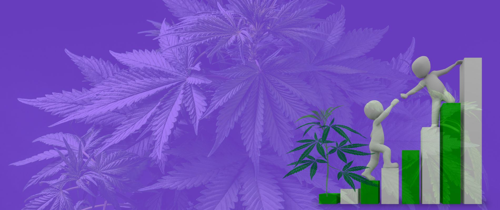 How to Cultivate a Profitable Paradise: Boosting Your Canadian Cannabis Retail Strategies