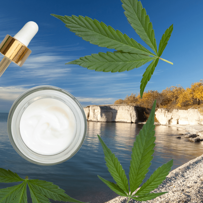 Homegrown Cannabis in Manitoba
