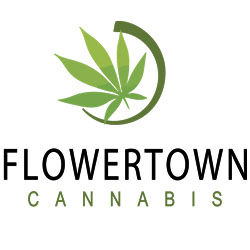 TechPOCustomersFlowewrtown