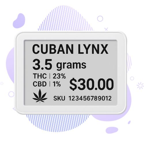 TechPOS Electric Shelf Labels